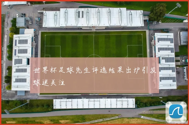 世界杯足球先生评选结果出炉引发球迷关注
