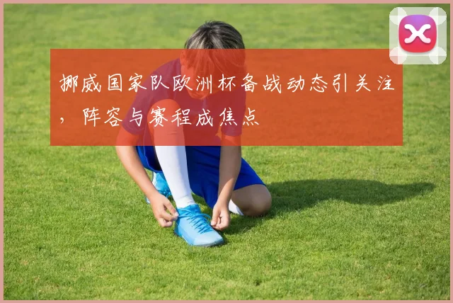 挪威国家队欧洲杯备战动态引关注,阵容与赛程成焦点