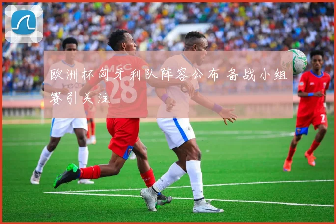 欧洲杯匈牙利队阵容公布 备战小组赛引关注